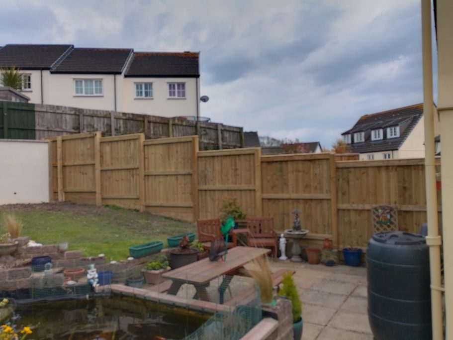 The grass has recovered and the new fence is in. The grass has recovered and the new fence is in.